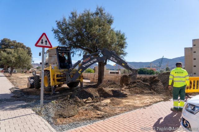 El Ayuntamiento repone más de 300 árboles por todo el municipio - 1, Foto 1