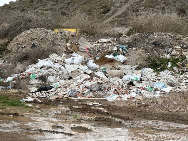 Vera: Solicitamos al Ejecutivo local que cumpla de una vez con las mociones y utilice todos los recursos para erradicar los vertidos incontrolados - 1, Foto 1