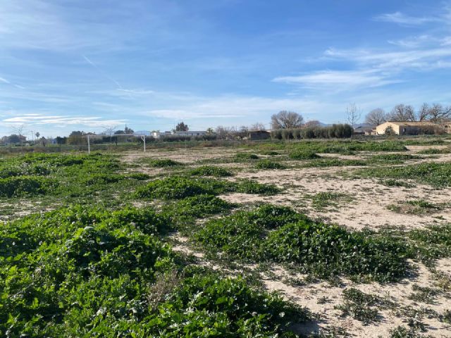 El PSOE de Lorca critica el abandono y la dejadez por parte de Fulgencio Gil de la zona deportiva y de ocio situada en la pedanía de Campillo - 2, Foto 2