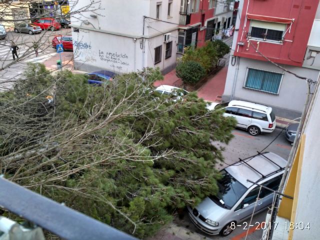 Cs de Santa María de Gracia advierte de que la falta de mantenimiento del arbolado está provocando caídas de ramas en la zona - 1, Foto 1