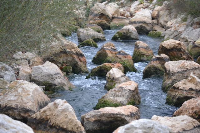 El proyecto LIFE+ Segura Riverlink aporta dos artículos científicos al número de 2016 de la revista 'Fishes in Mediterranean Environments' - 1, Foto 1