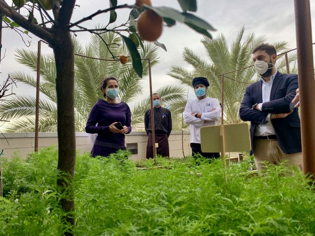 La Comunidad inaugura el 'Huerto Urbano de los 1.001 Sabores' como nuevo recurso formativo en el Centro de Cualificación Turística - 2, Foto 2