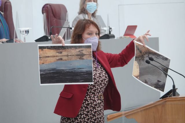 María Marín lleva a la Asamblea Regional imágenes que demuestran el absoluto descontrol de los purines de las macrogranjas - 1, Foto 1