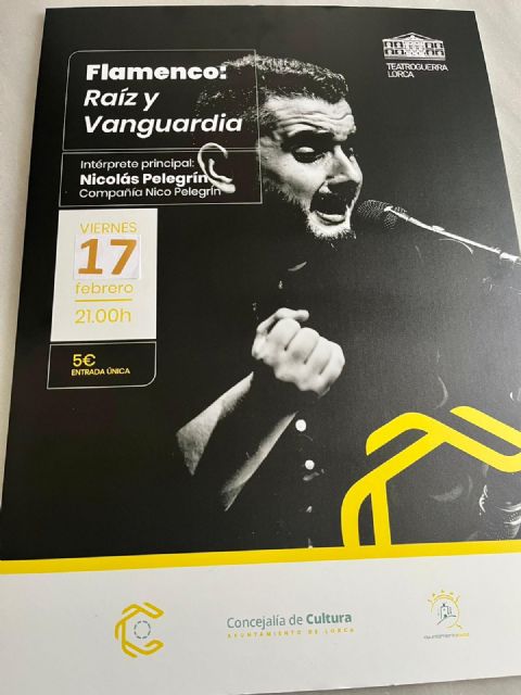 El artista lorquino, Nico Pelegrín, presentará su espectáculo flamenco el viernes, 17 de febrero, en el Teatro Guerra - 1, Foto 1