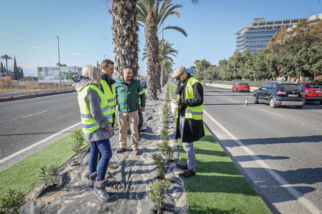 El Ayuntamiento acondiciona la mediana de Ronda Sur en el tramo entre Patiño y la rotonda de la avenida de Santa Catalina - 1, Foto 1