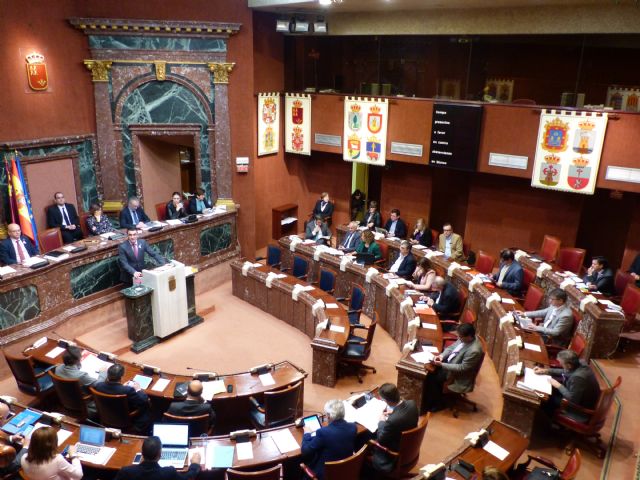 La Asamblea pide la aprobación del Plan Regional de Igualdad de Oportunidades en un pleno marcado por las reivindicaciones feministas - 1, Foto 1