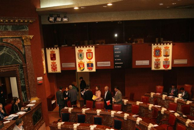 La Asamblea pide la aprobación del Plan Regional de Igualdad de Oportunidades en un pleno marcado por las reivindicaciones feministas - 2, Foto 2