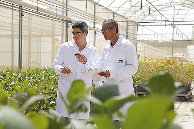 BASF refuerza la inversión en innovaciones para una agricultura sostenible - 1, Foto 1