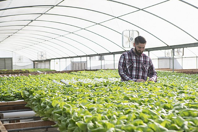 BASF refuerza la inversión en innovaciones para una agricultura sostenible - 2, Foto 2