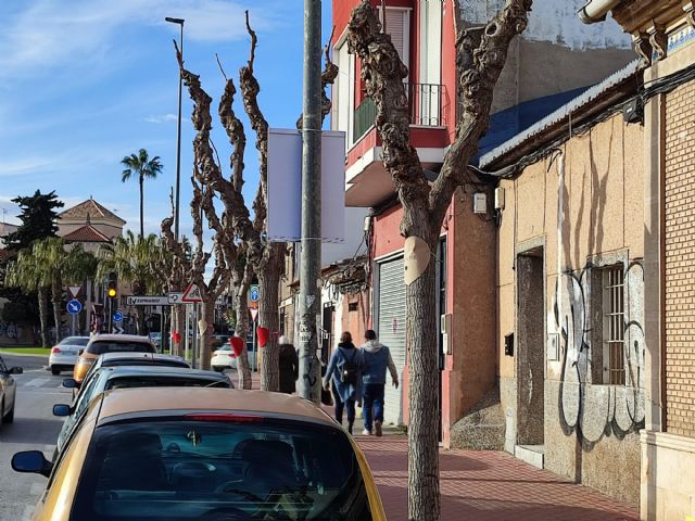 Corazones contra el arboricidio en Espinardo - 2, Foto 2