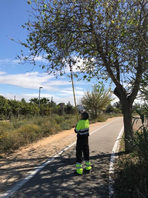 El Ayuntamiento supervisa periódicamente el estado del carril bici entre el Raal y la Contraparada - 1, Foto 1