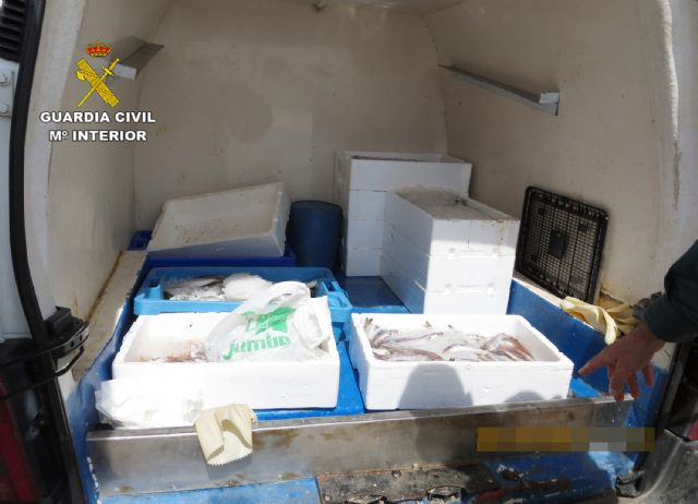 La Guardia Civil inmoviliza 165 kilos de pescado en San Pedro del Pinatar y Torre Pacheco - 2, Foto 2