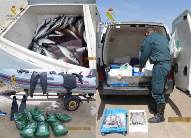 La Guardia Civil inmoviliza 165 kilos de pescado en San Pedro del Pinatar y Torre Pacheco - 5, Foto 5