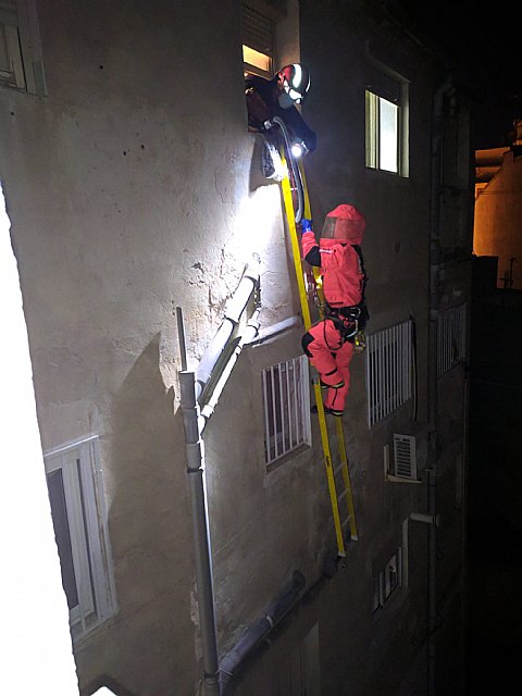 Bomberos retiran un panal de abejas en Cieza - 1, Foto 1