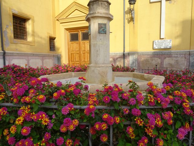 Sandía, piscina, crucero, Foto 1