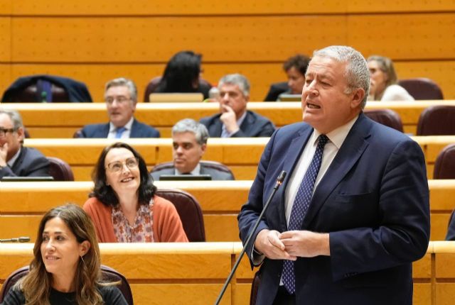 El PP reclama al Gobierno de España que agilice la llegada de los fondos europeos para impulsar el Corredor Mediterráneo, la PAC o el Pacto Azul - 1, Foto 1