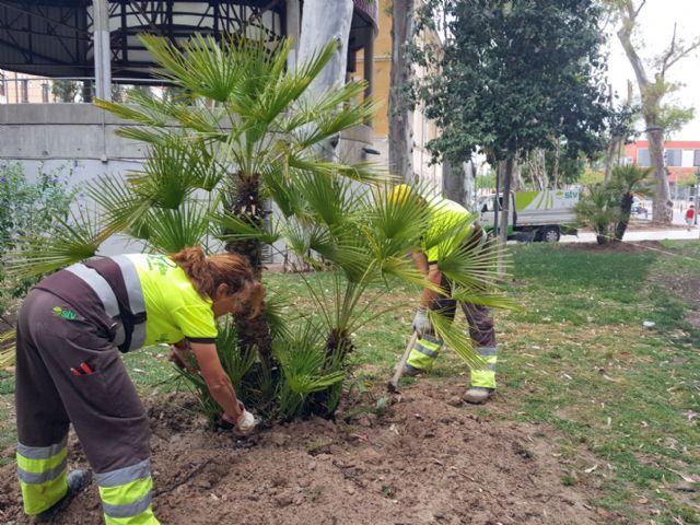 El Ayuntamiento mejora las zonas verdes del Cuartel de Artillería - 1, Foto 1