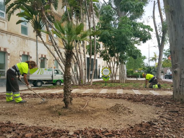 El Ayuntamiento mejora las zonas verdes del Cuartel de Artillería - 2, Foto 2