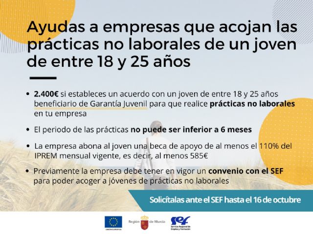 La Comunidad lanza una ayuda de 2.400 euros a empresas que acojan prácticas no laborales de jóvenes - 1, Foto 1