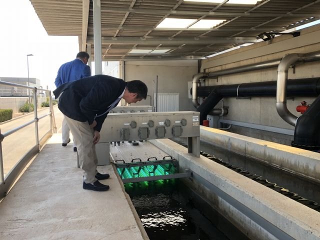 El humedal de la depuradora de Los Alcázares desnitrificará el agua a un mejor precio y de manera más sostenible - 1, Foto 1