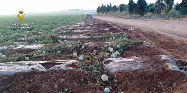 La Guardia Civil investiga en Cabo de Palos a doce menores por causar daños en una finca agrícola - 2, Foto 2