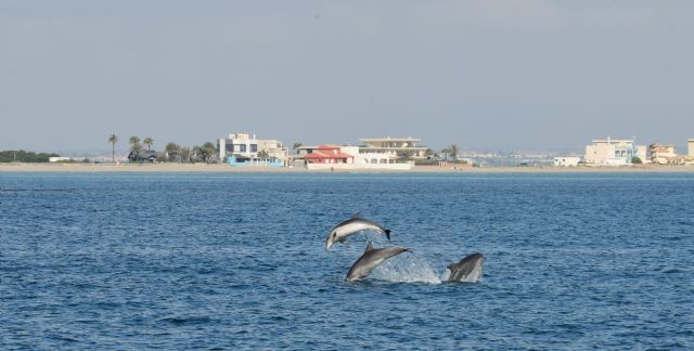 Frupo saltando frente a La Manga (J.L. Murcia/ANSE), Foto 2