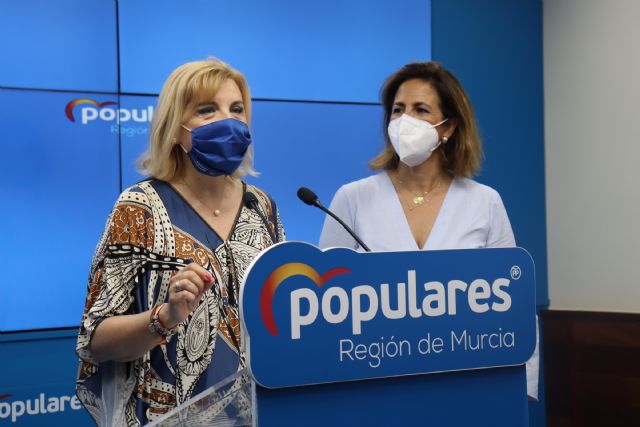 Violante Tomás: Pensiones más bajas, incremento del déficit público y una ausencia total de medidas de fomento del empleo - 1, Foto 1