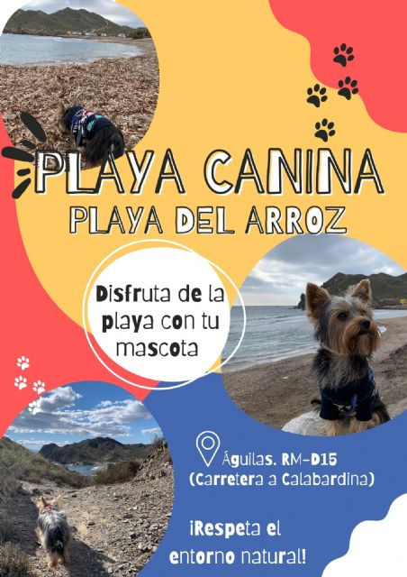 El Arroz se convertirá en una playa canina - 1, Foto 1