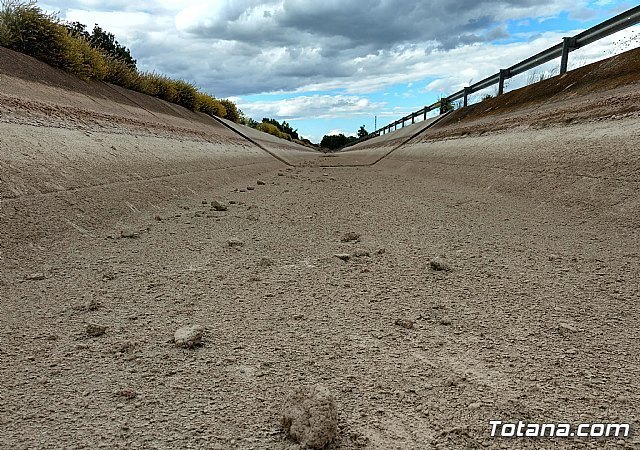 Asaja Murcia alerta de que uno de cada tres agricultores podría abandonar el campo por la falta de agua - 1, Foto 1