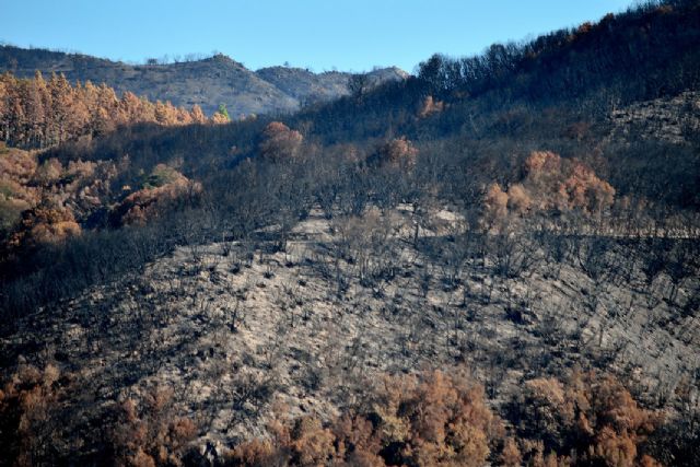 La basuraleza aumenta el riesgo de incendios forestales - 3, Foto 3