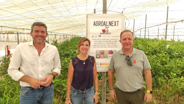 Introducen en Murcia cultivos de frutas de gran valor comercial como la pitaya o fruta del dragón - 2, Foto 2