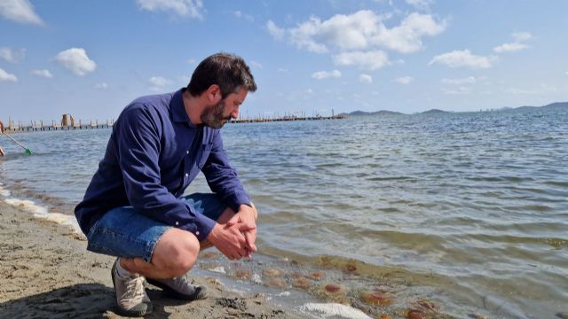 Podemos pide una participación masiva en el ´Abrazo al Mar Menor´ de este sábado - 1, Foto 1