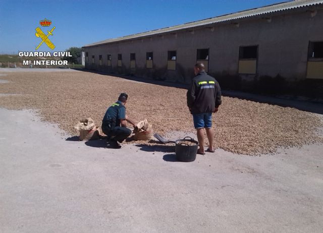 La Guardia Civil evita el robo de quince toneladas de almendra en una finca de El Albujón - 1, Foto 1