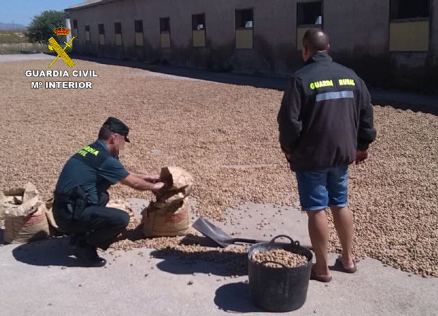 La Guardia Civil evita el robo de quince toneladas de almendra en una finca de El Albujón - 4, Foto 4