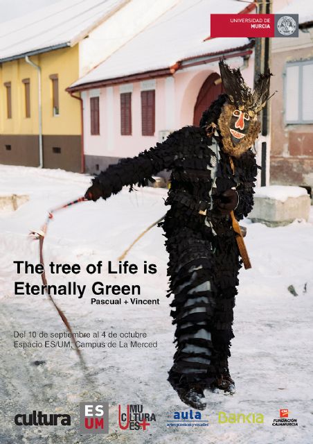 The tree of life is eternally green en el Campus de la Merced en Murcia - 4, Foto 4