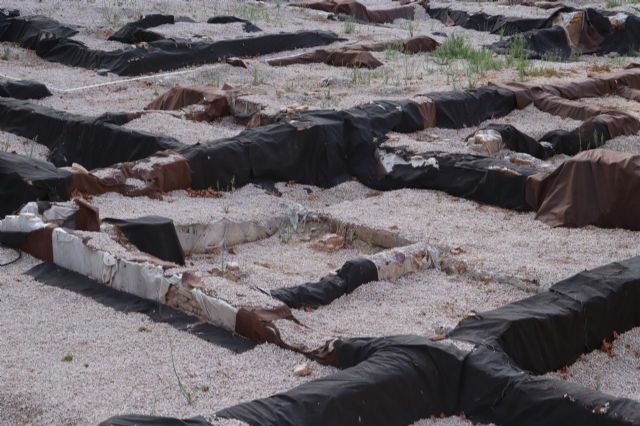 Huermur denuncia el incumplimiento del protocolo para la recuperación del yacimiento de San Esteban - 1, Foto 1