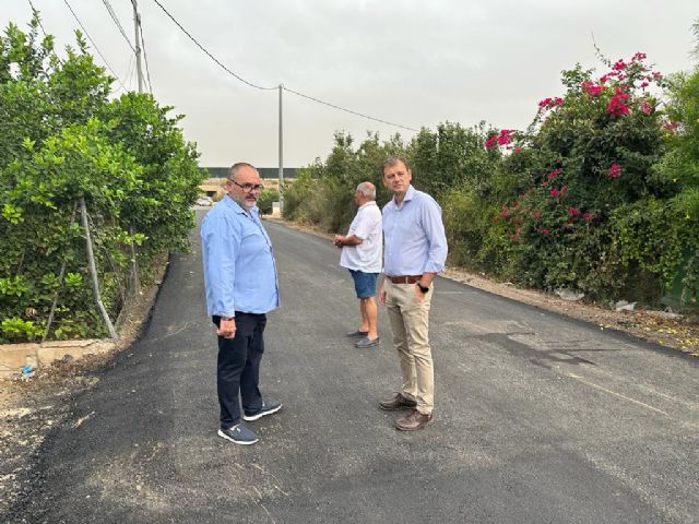 Los trabajos de renovación del firme en la Vereda de las Palmeras llegan a su fin - 1, Foto 1