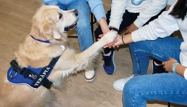 14 de septiembre: Día Internacional de las intervenciones asistidas con animales - 1, Foto 1