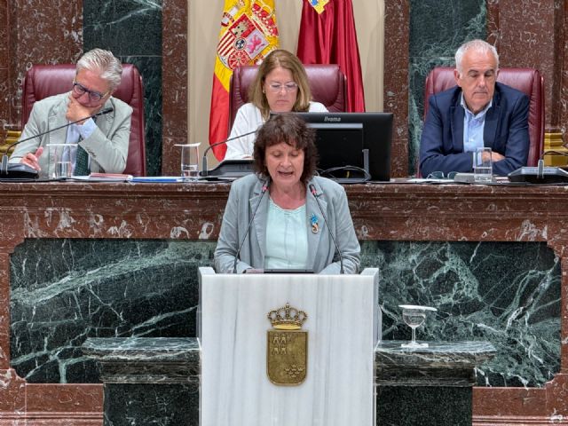 Podemos-IU denuncia que el PP y los tránsfugas de Vox han aprobado una ley del Mar Menor 'a la medida de los señores del agronegocio' Podemos-IU denuncia que el PP y los tránsfugas de Vox han aprobado una ley del Mar Menor 'a la medida de los señores del agronegocio'