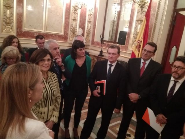 Ciudadanos muestra en el Congreso su compromiso de la Ley de Autoconsumo Eléctrico como un primer paso para impulsar la transición a las energías renovables - 1, Foto 1