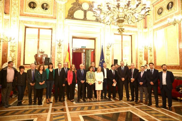 Ciudadanos muestra en el Congreso su compromiso de la Ley de Autoconsumo Eléctrico como un primer paso para impulsar la transición a las energías renovables - 4, Foto 4