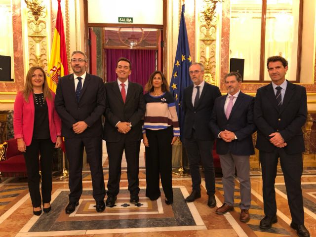 El PP dice sí en el Congreso a que la Región siga liderando el fomento de las energías renovables - 1, Foto 1