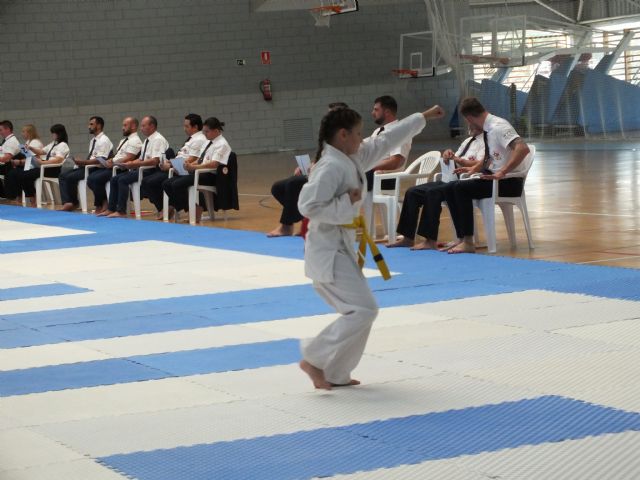 Cerca de 200 luchadores de 14 escuelas participan en el campeonato interclub infantil de kárate - 4, Foto 4