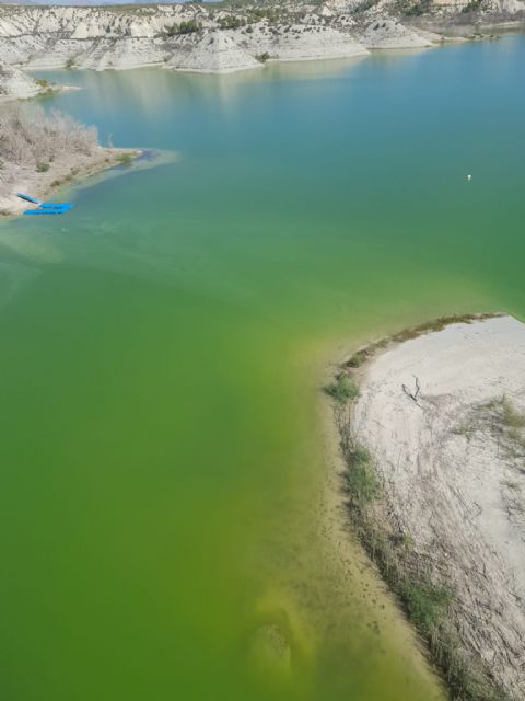 La CHS detecta un crecimiento de algas en el embalse del Judío - 2, Foto 2