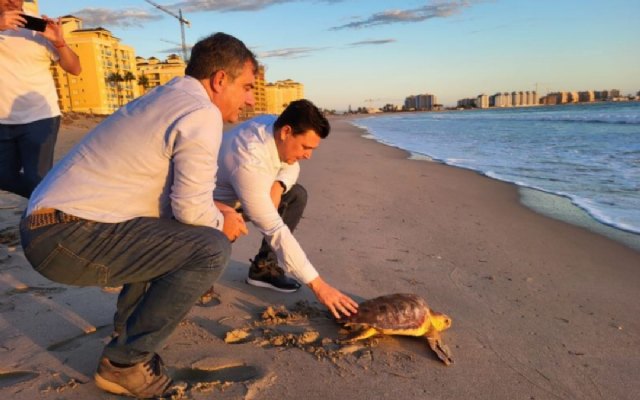 Devolución al mar de una tortuga boba en La Manga - 1, Foto 1