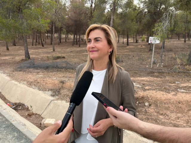 El PSOE exige al Gobierno regional la creación de un plan de actuación integral para las zonas forestales afectadas por el cambio climático - 1, Foto 1