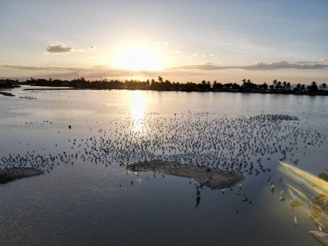 Únete al dran Día Mundial de Observación de Aves el 12 de octubre - 3, Foto 3