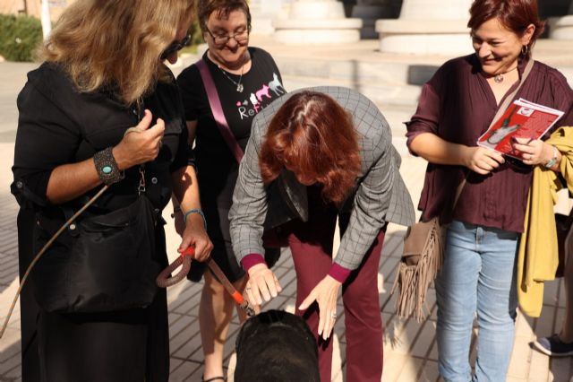 Podemos acusa al PSOE de estar vendiendo los derechos de los animales al lobby de la caza - 1, Foto 1