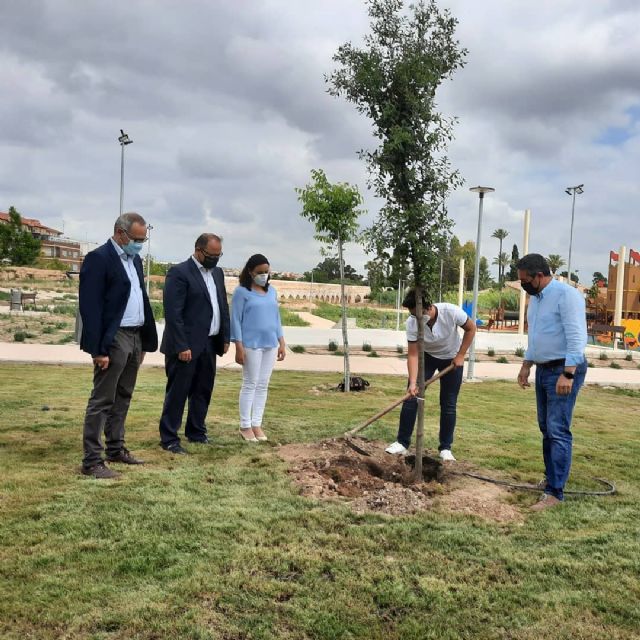 Campaña Un árbol por Europa´ - 3, Foto 3