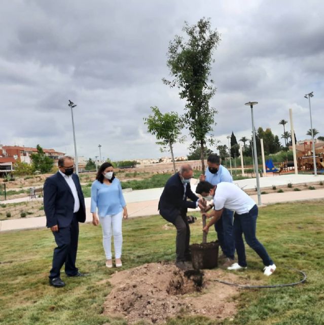 Campaña Un árbol por Europa´ - 4, Foto 4